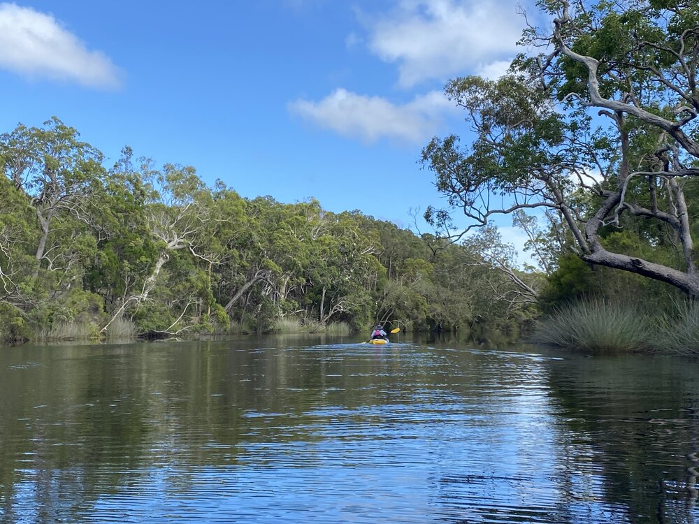 Kayaking, Noosa River, Como, 11 February 2025