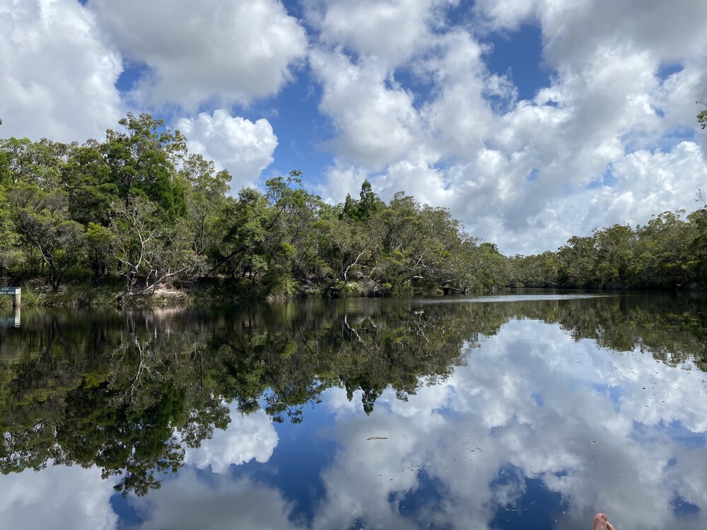 Reflections and views,  Noosa River, Harry's Hut, Como, 11 February 2025