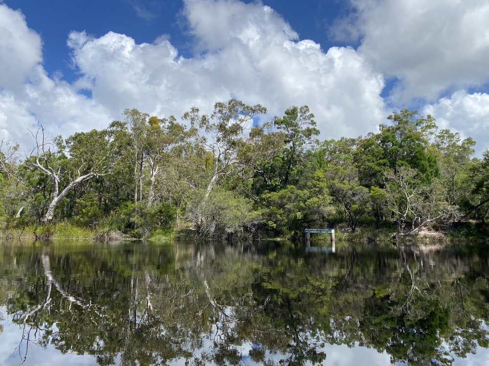 Signage, Noosa River Everglades, Noosa River, Cooloola, 11 February 2025
