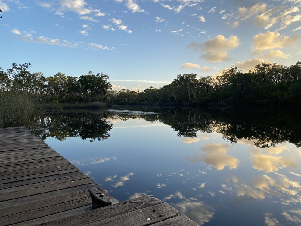 Sunrise, Noosa River Everglades, Noosa River, Cooloola, 12 February 2025