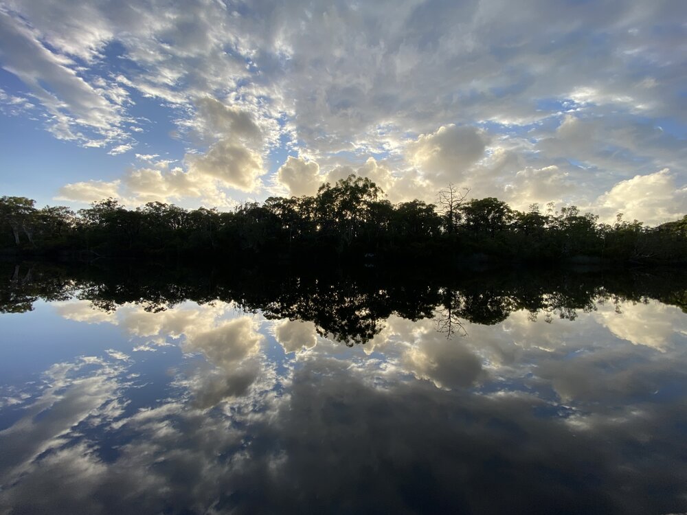 Sunrise, Noosa River Everglades, Noosa River, Cooloola, 12 February 2025