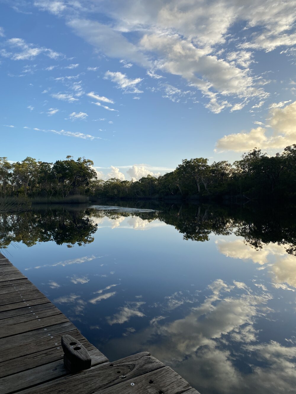 Sunrise, Noosa River Everglades, Noosa River, Cooloola, 12 February 2025