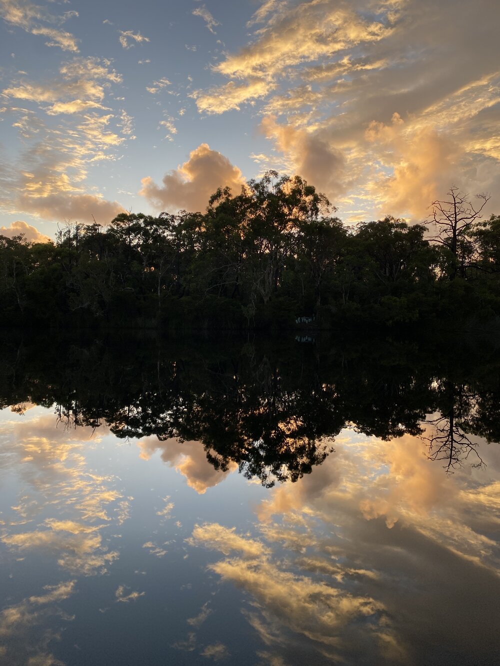 Sunrise, Noosa River Everglades, Noosa River, Cooloola, 12 February 2025