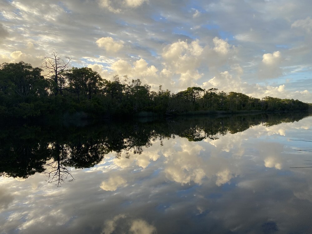 Sunrise, Noosa River Everglades, Noosa River, Cooloola, 12 February 2025