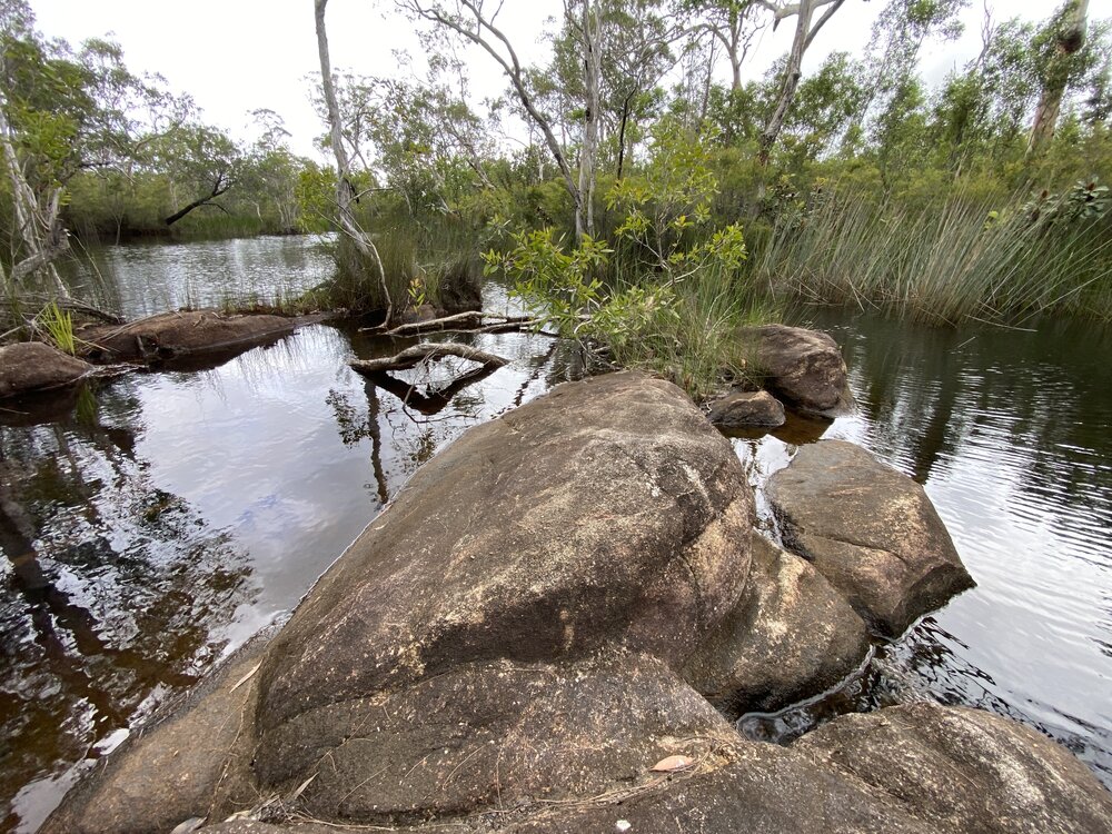 Scenic views, Wandi Waterhole, Cooloola Wilderness Trail, Great Sandy National Park, Cooloola, 13 February 2025