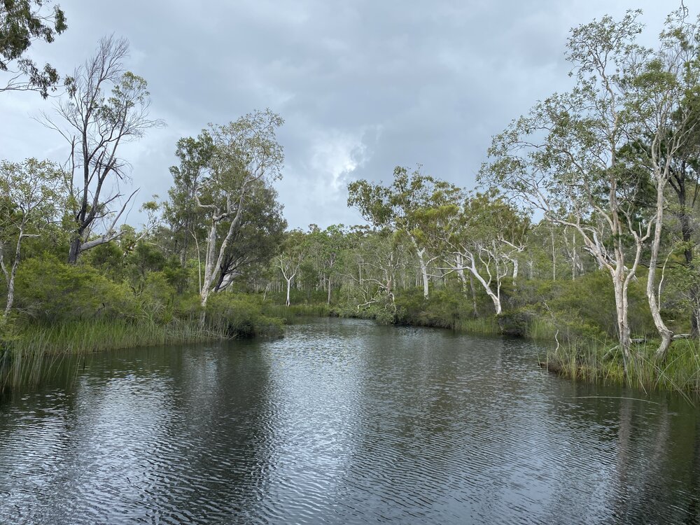 Scenic views, Wandi Waterhole, Cooloola Wilderness Trail, Great Sandy National Park, Cooloola, 13 February 2025