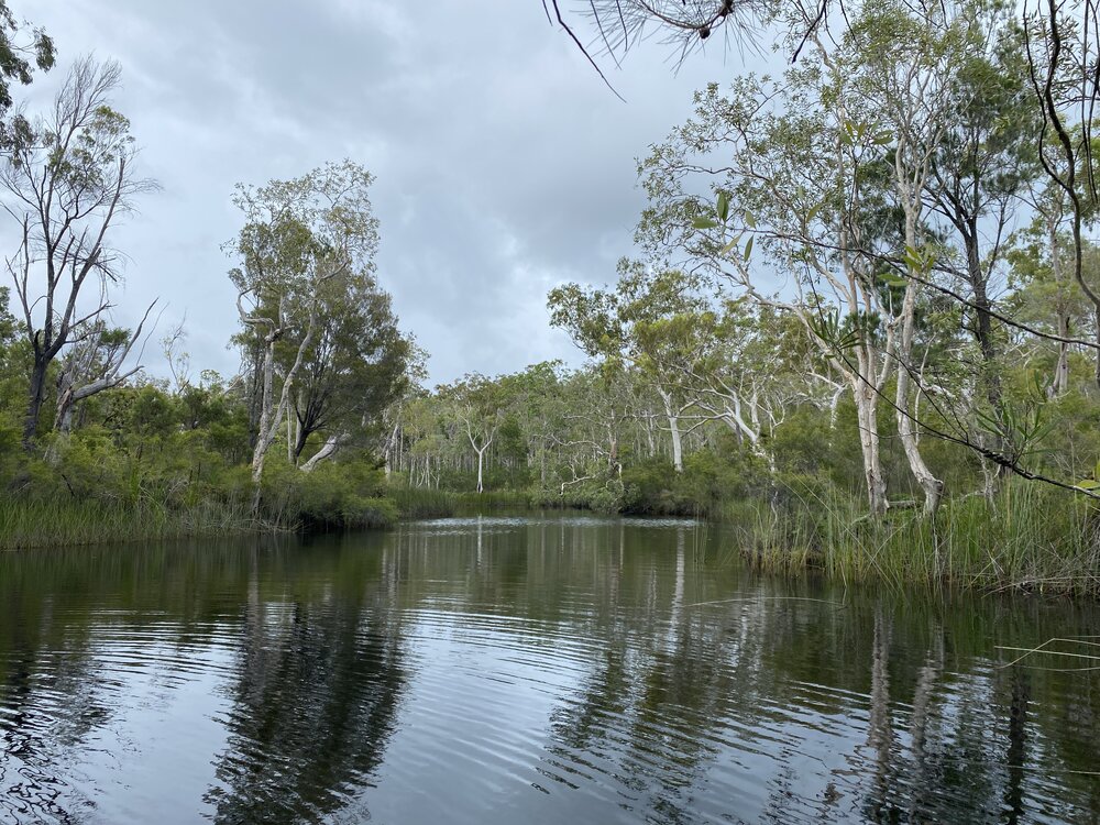 Scenic views, Wandi Waterhole, Cooloola Wilderness Trail, Great Sandy National Park, Cooloola, 13 February 2025