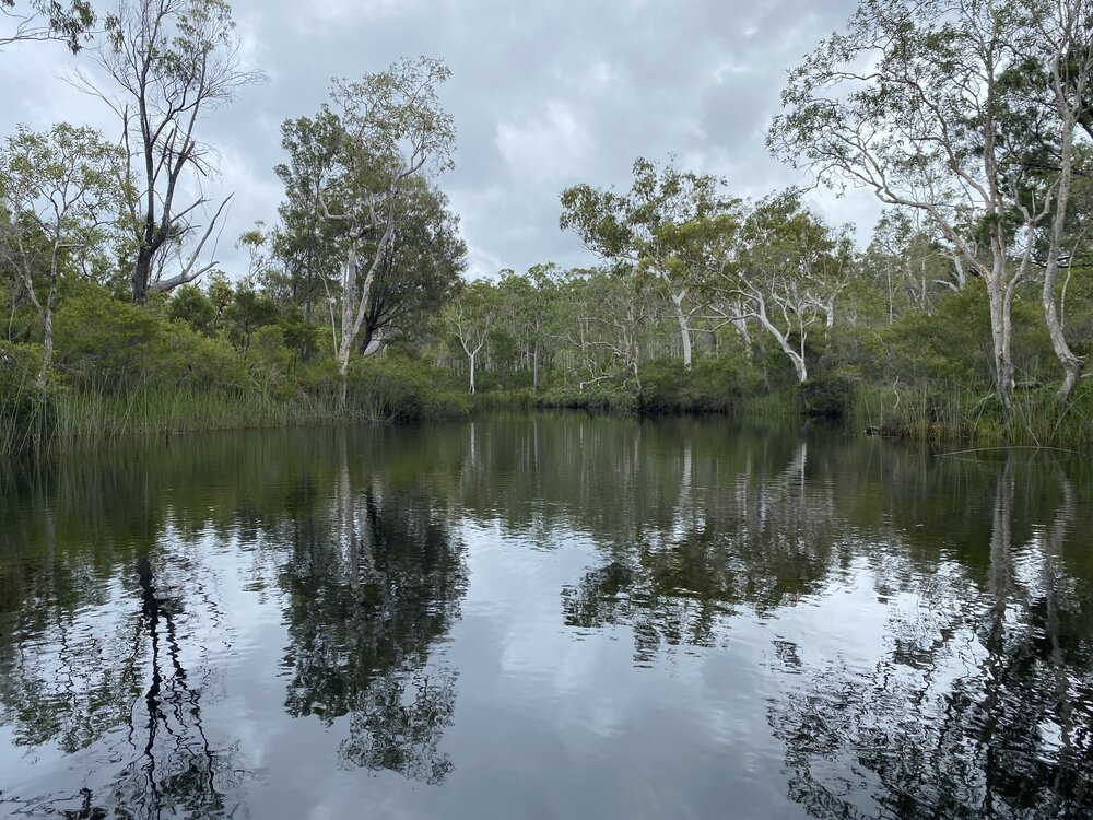 Scenic views, Wandi Waterhole, Cooloola Wilderness Trail, Great Sandy National Park, Cooloola, 13 February 2025