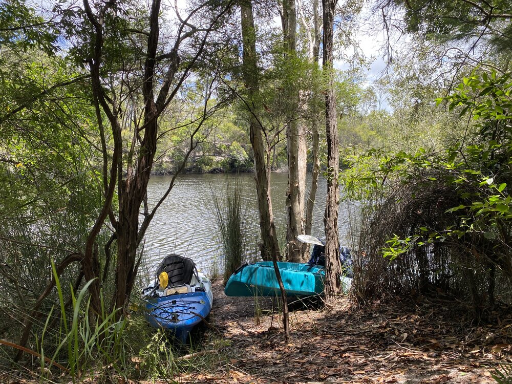 Landing  point, Noosa River Everglades, Noosa River, Cooloola, 11 February 2030