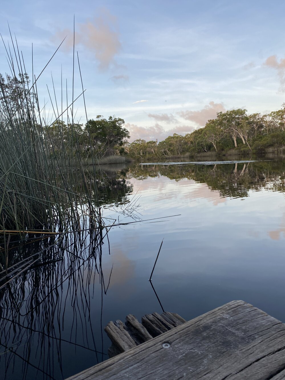 Jetty and views, Harry's Hut, Como, 14 February 2025