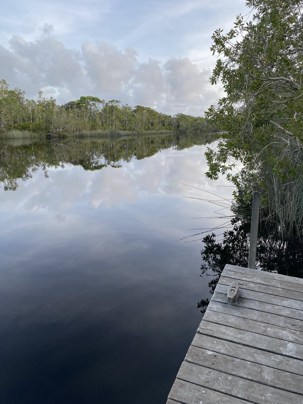 Scenic river views, Noosa River, Harry's Hut, Como, 14 February 2025