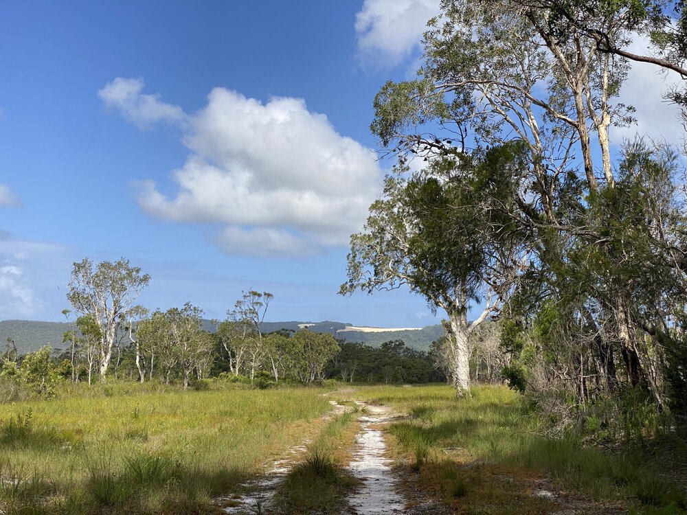 Views to Cooloola Sandpatch,  Cooloola Wilderness Trail, Great Sandy National Park, Cooloola, 13 February 2025