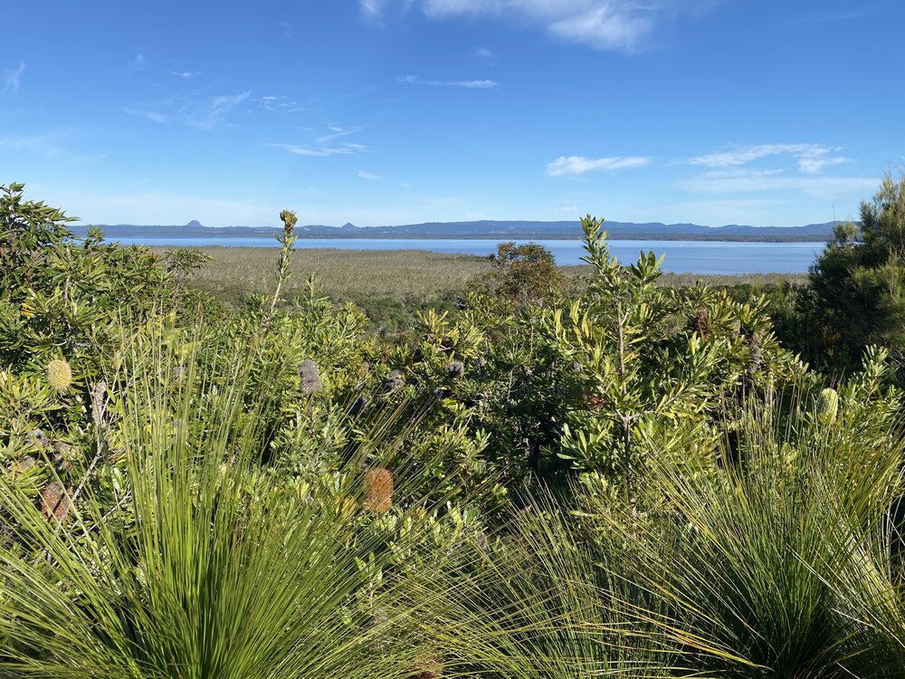 Mountain views, Brahminy walking trail, Cooloola Wilderness Trail, Great Sandy National Park, Cooloola, 14 June  2025