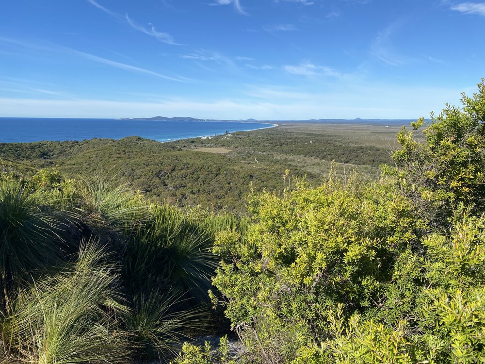 Views south, Brahminy walking trail, Cooloola Wilderness Trail, Great Sandy National Park, Cooloola, 14 June  2025