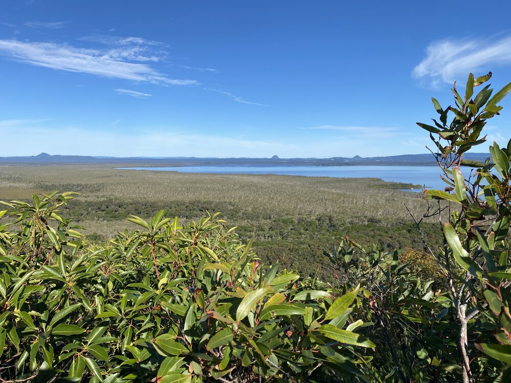 Views south across Lake Cootharaba, Brahminy walking trail, Cooloola Wilderness Trail, Great Sandy National Park, Cooloola, 14 June  2025