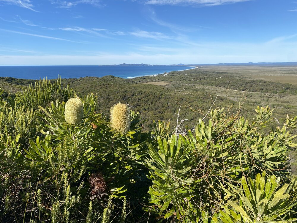 Scenic views south,  Teewah Beach Village to Noosa Heads,  Brahminy walking trail, Cooloola Wilderness Trail, Great Sandy National Park, Cooloola, 14 June  2025