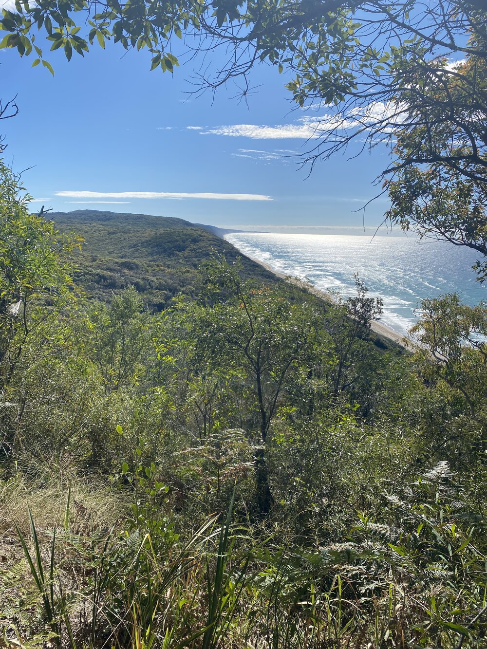 Views north to Double Island Point, Brahminy walking trail, Cooloola Wilderness Trail, Great Sandy National Park, Cooloola, 14 June  2025