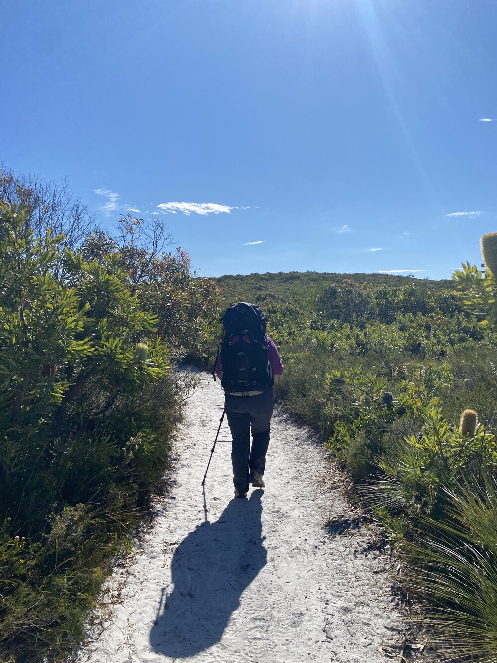 Trekker, Brahminy walking trail, Cooloola Wilderness Trail, Great Sandy National Park, Cooloola, 14 June  2025