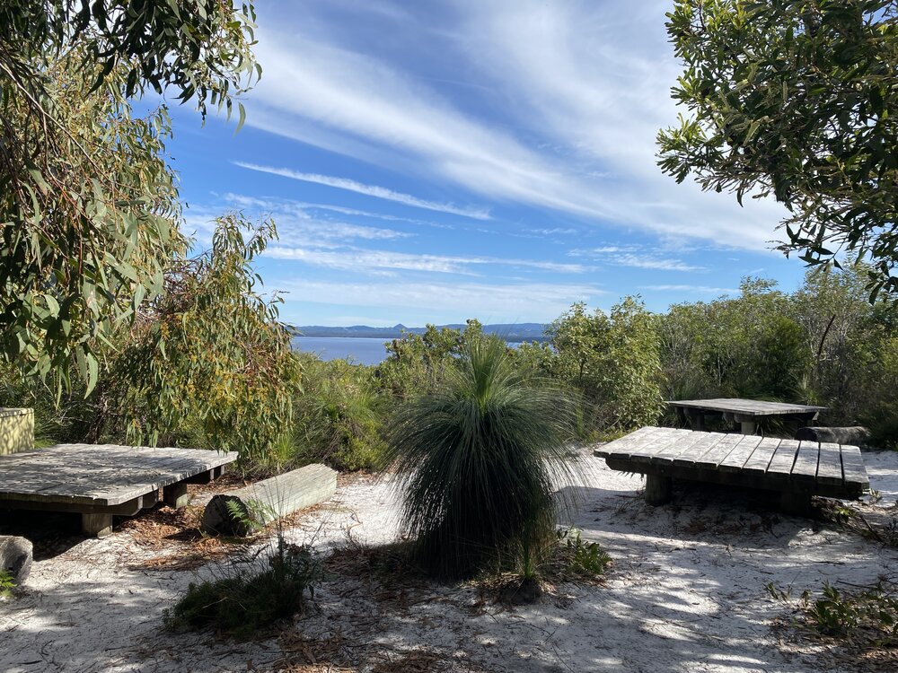 Campsite, Brahminy walking trail, Cooloola Wilderness Trail, Great Sandy National Park, Cooloola, 14 June  2025