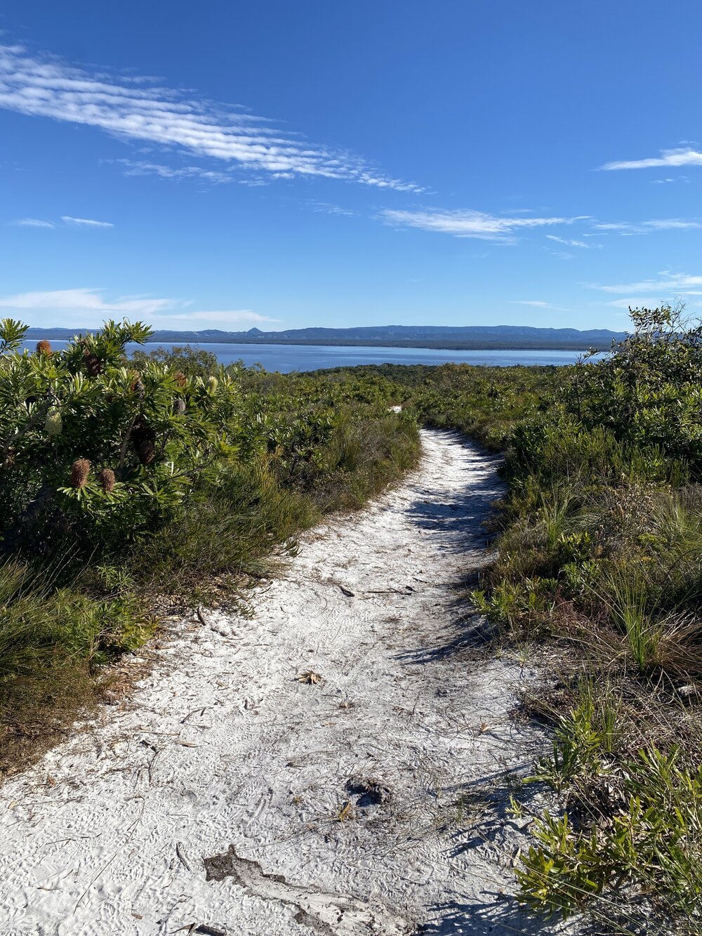 Brahminy walking trail, Cooloola Wilderness Trail, Great Sandy National Park, Cooloola, 14 June  2025