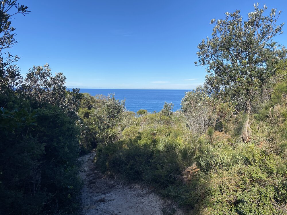 Scenic views, Brahminy walking trail, Cooloola Wilderness Trail, Great Sandy National Park, Cooloola, 14 June  2025