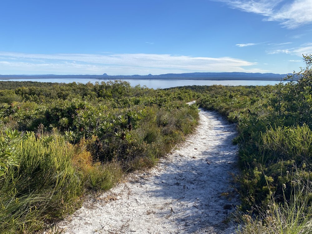 Scenic views across Lake Cootharaba, Brahminy walking trail, Cooloola Wilderness Trail, Great Sandy National Park, Cooloola, 14 June  2025