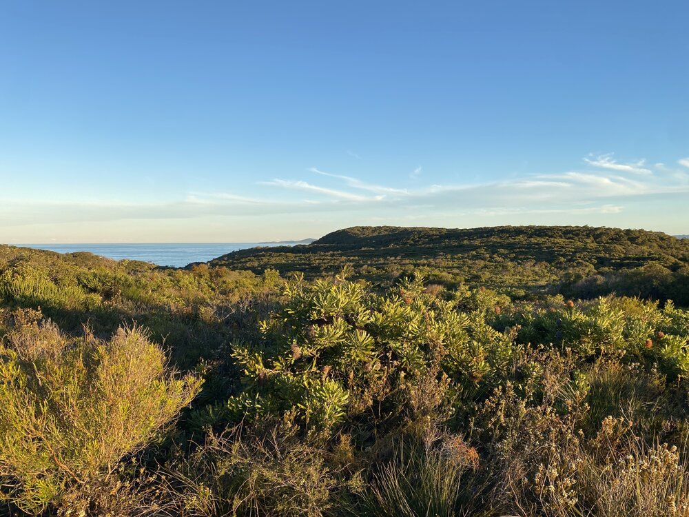 Scenic views, Brahminy walking trail, Cooloola Wilderness Trail, Great Sandy National Park, Cooloola, 14 June  2025