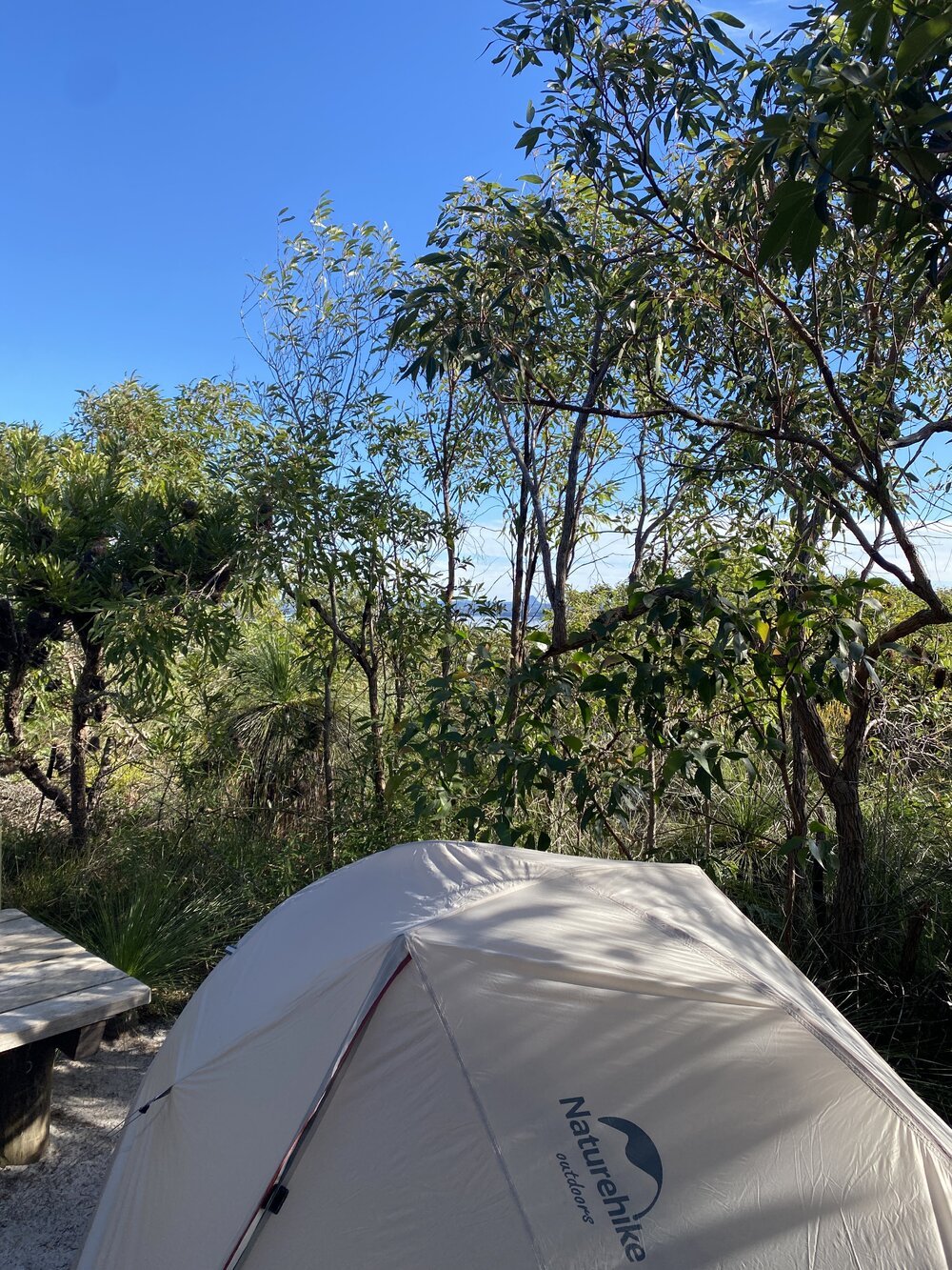 Tent site, Brahminy walking trail, Cooloola Wilderness Trail, Great Sandy National Park, Cooloola, 14 June  2025