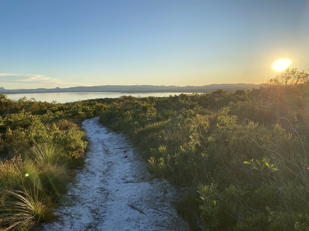 Sunset, Brahminy walking trail, Cooloola Wilderness Trail, Great Sandy National Park, Cooloola, 14 June  2025