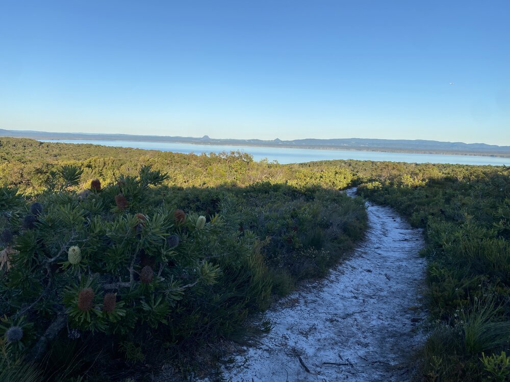 Sunset, Brahminy walking trail, Cooloola Wilderness Trail, Great Sandy National Park, Cooloola, 14 June  2025