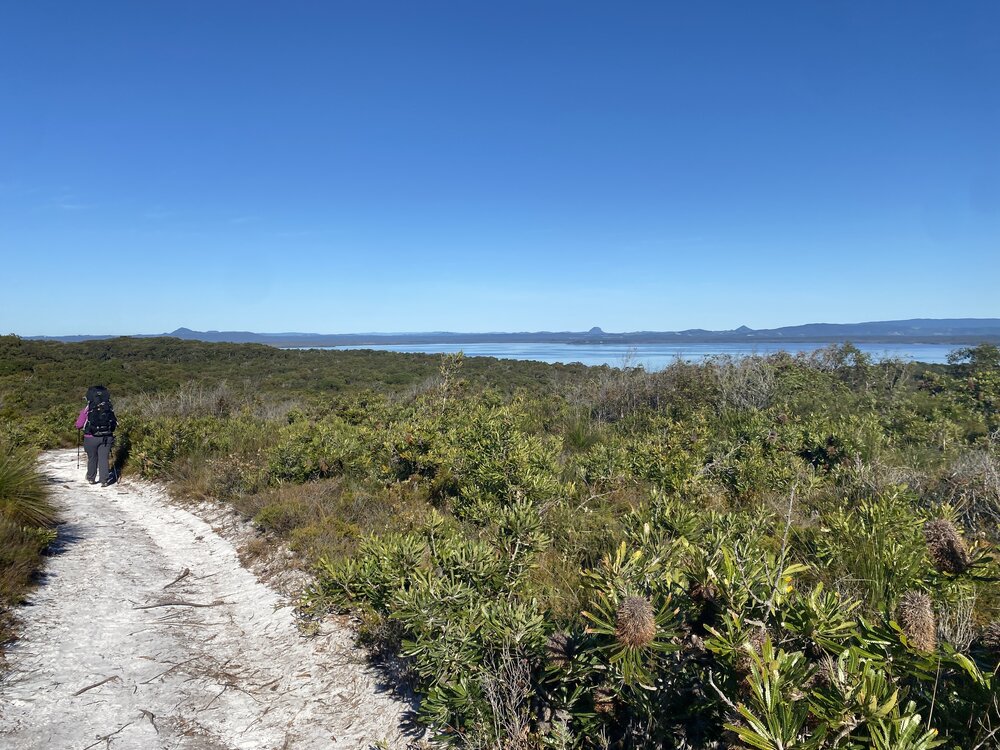 Trekker, Brahminy walking trail, Cooloola Wilderness Trail, Great Sandy National Park, Cooloola, 15 June  2025