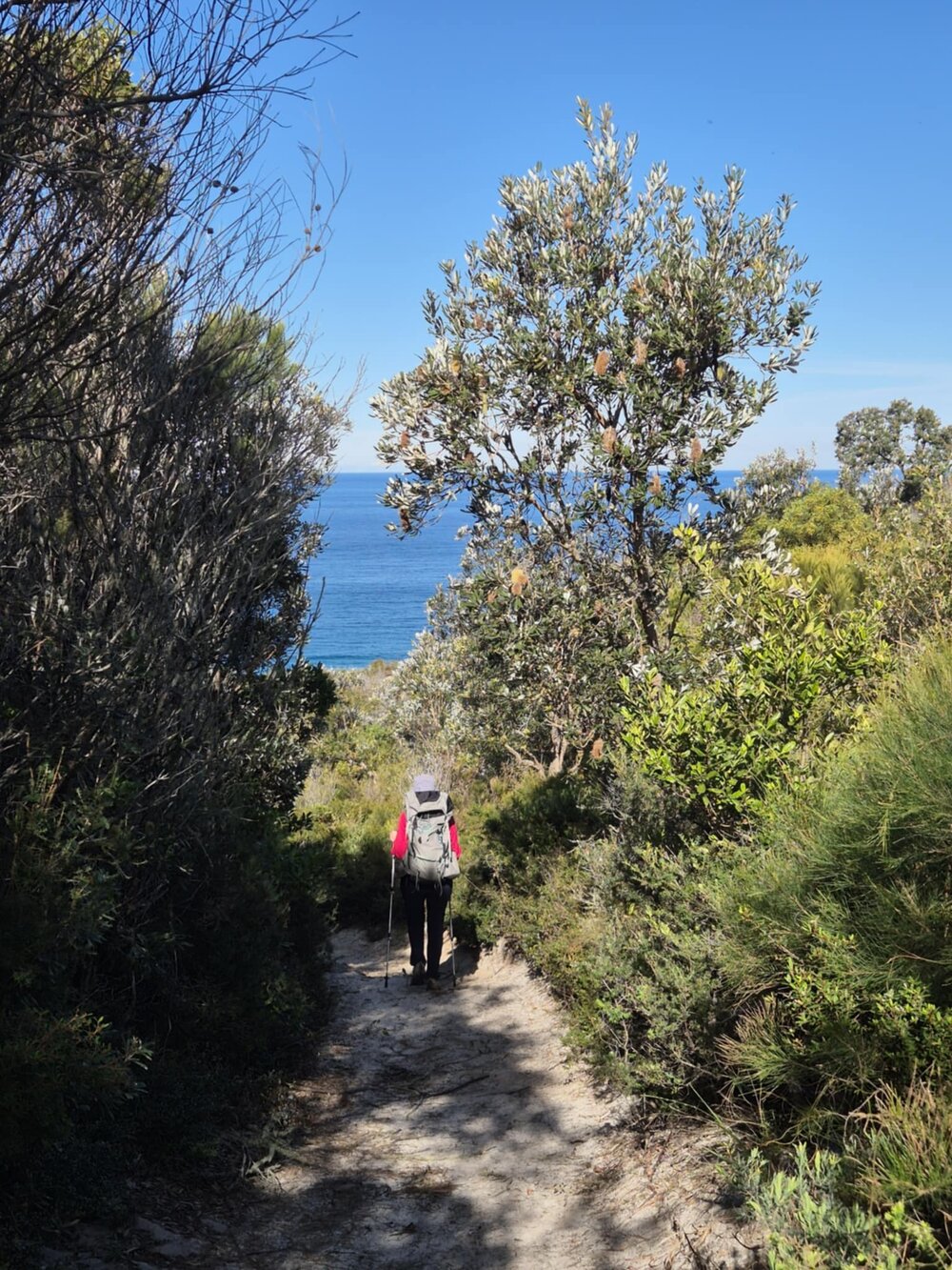 Trekker, Brahminy walking trail, Cooloola Wilderness Trail, Great Sandy National Park, Cooloola, 15 June  2025