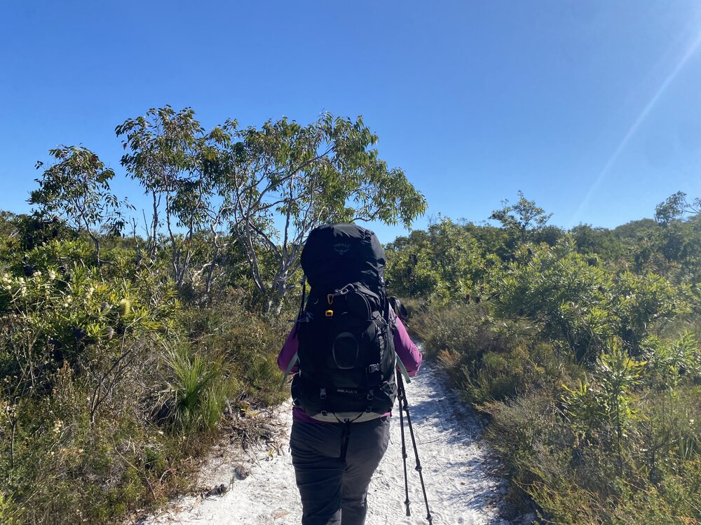 Trekker, Brahminy walking trail, Cooloola Wilderness Trail, Great Sandy National Park, Cooloola, 15 June  2025