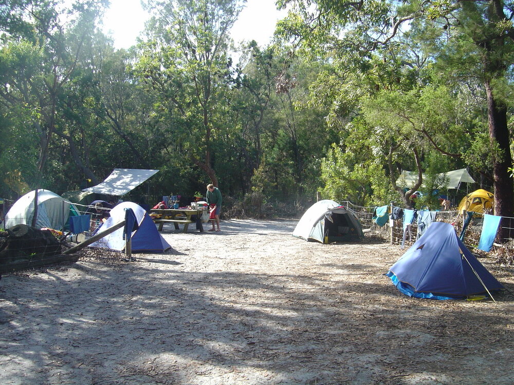 Campsite, Elanda Point campground, Lake Cootharaba, Como, 5 June 2004