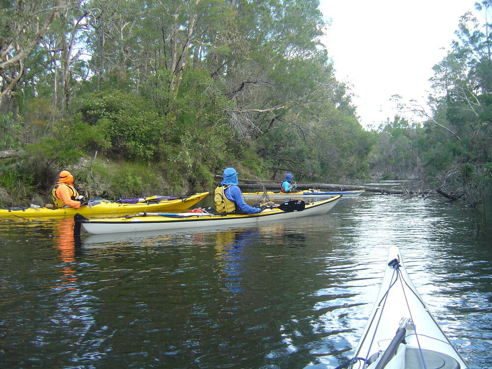 River exploration, Noosa River, Cooloola, 5 June 2004