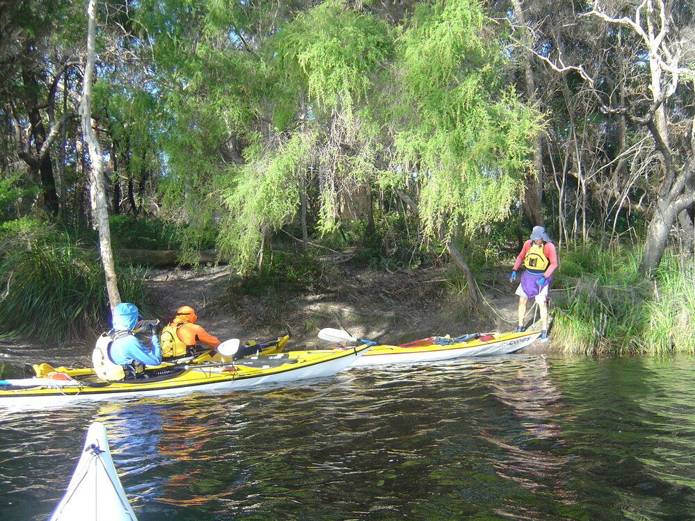 Campsite investigations, Noosa River, Cooloola, 5 June 2004