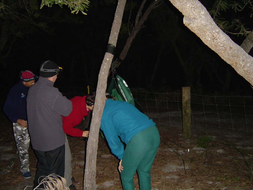 Campers, Noosa River, Campsite 3, Como, 5 June 2004