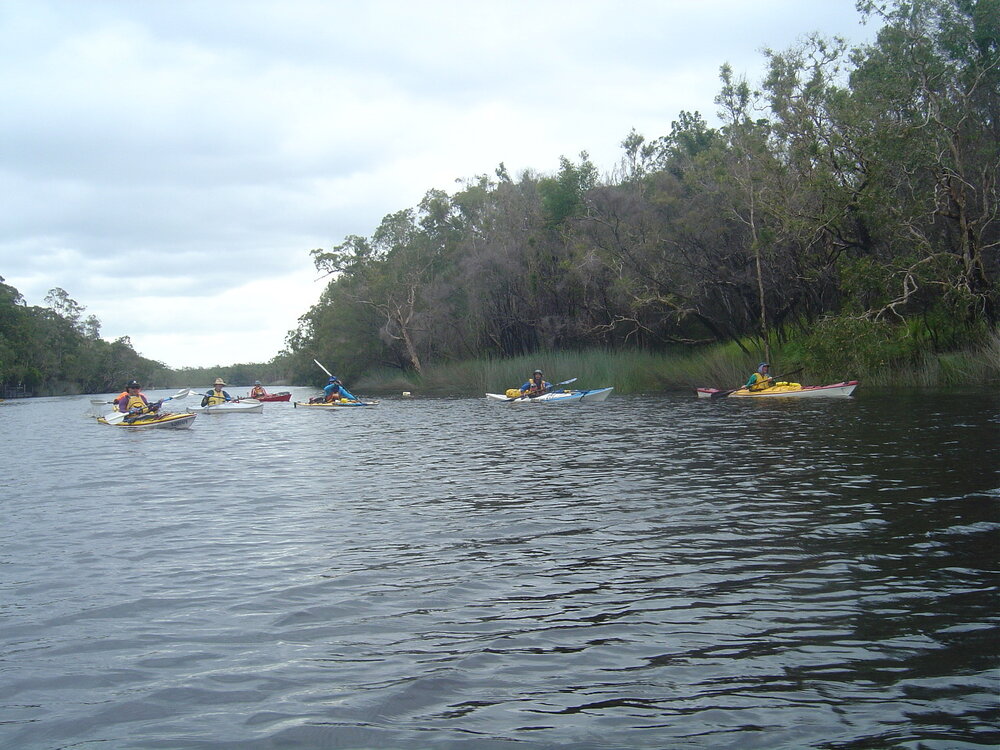 Paddlers, Noosa River, 6 June 2004