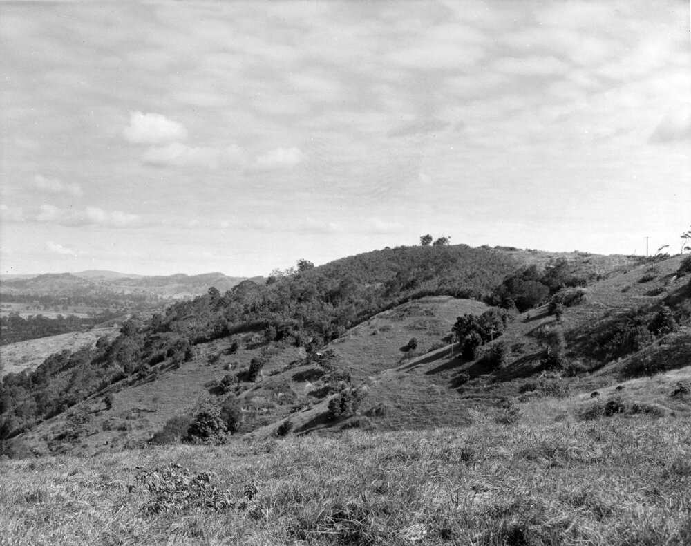 Scenic view, Eumundi-Cooroy range, 1954