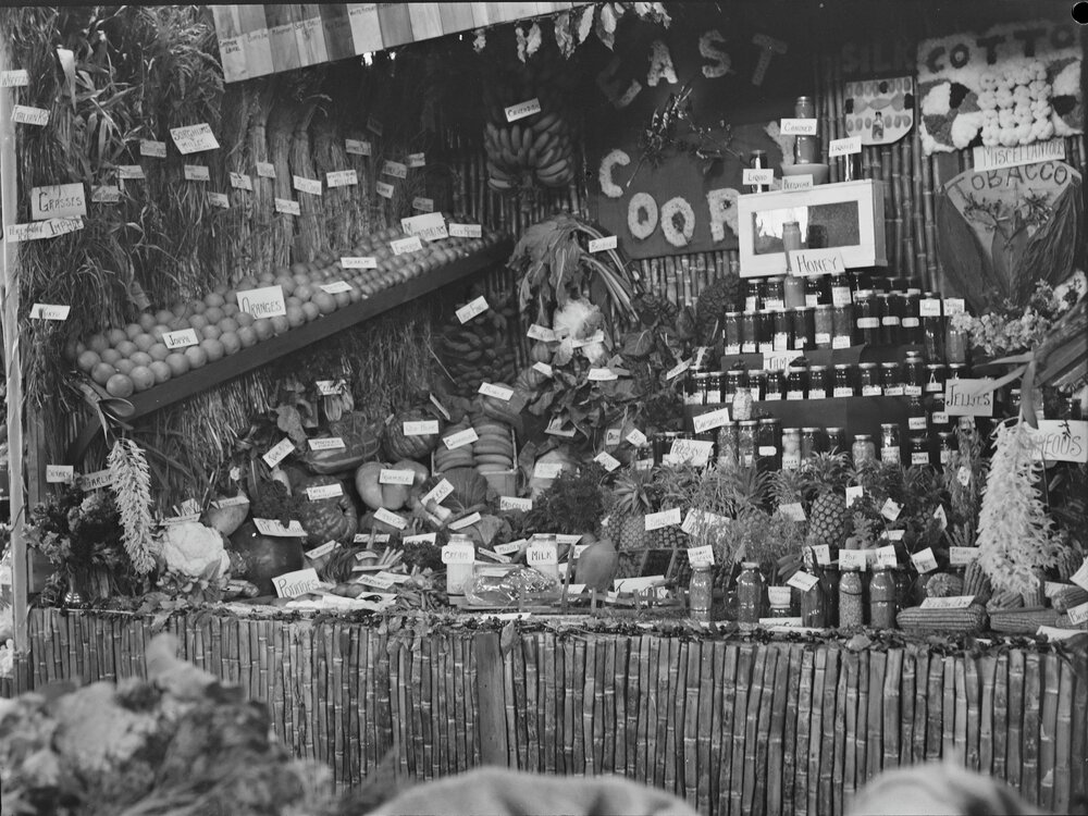  Show display, Cooroy East produce, Cooroy Show, Show Society Grounds, Mary River Road, Cooroy, 1949