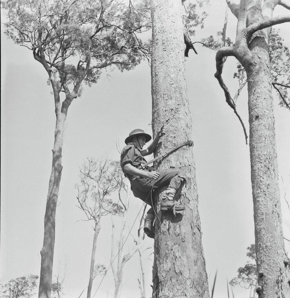 Soldier, Military Training Camp, Cooroy Showgrounds, Cooroy, May 1951