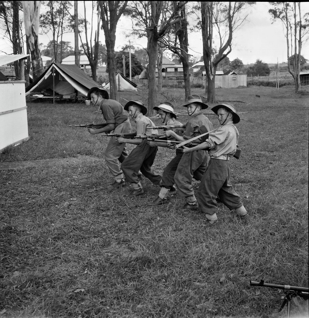 Citizen Military Force Training Camp, Cooroy Showgrounds, Cooroy, 1951