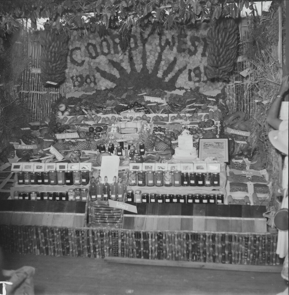 Cooroy West Produce Display, Cooroy Show, Cooroy Show Society Grounds, Mary River Road, Cooroy, 1951