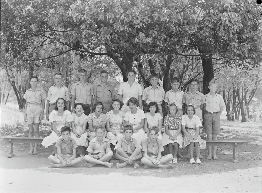 Class Photo, Grade 6, Cooroy State School, Cooroy, 1951