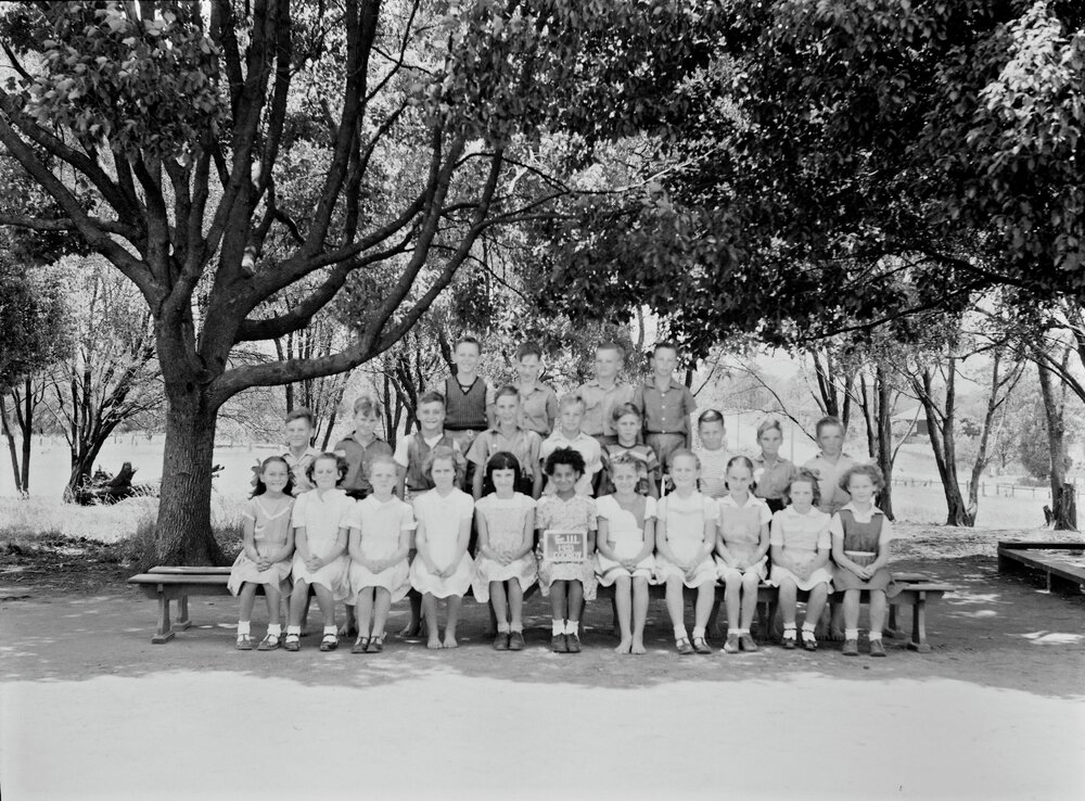 Class Photo, Grade 3, Cooroy State School, Cooroy, 1953