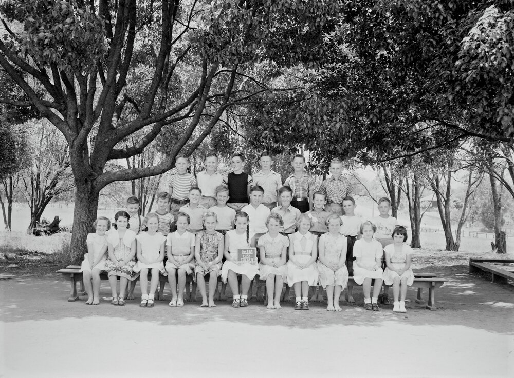 Class Photo, Grade 4, Cooroy State School, Cooroy, 1953
