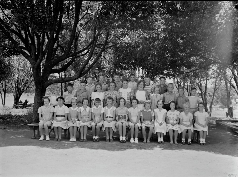 Class Photo, Grade 5, Cooroy State School, Cooroy, 1953