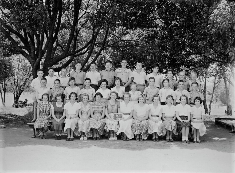 Class Photo, Grade 8, Cooroy State School, Cooroy, 1953