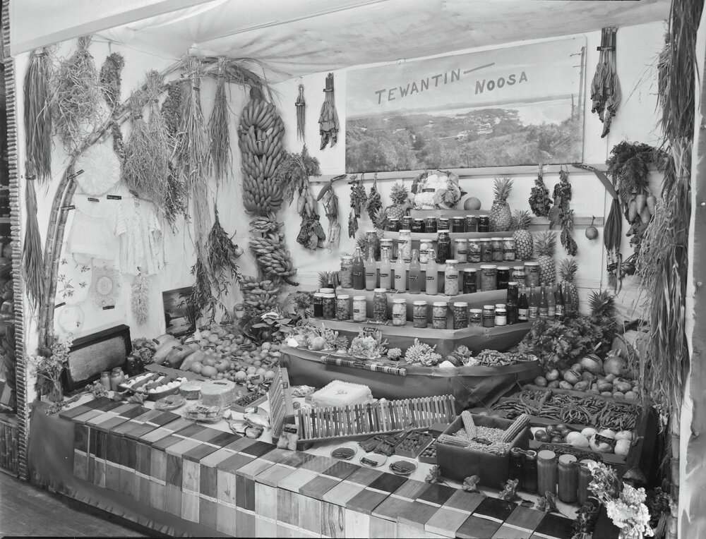 Tewantin-Noosa primary produce display, Cooroy Agricultural Show, Cooroy Showgrounds, Cooroy, 1956