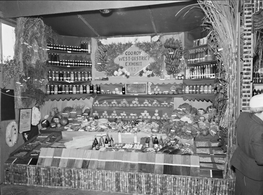 District exhibit, Cooroy West, Cooroy Show, Show Society Grounds, Mary River Road, Cooroy, 1957